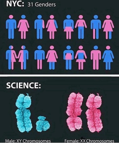 science - 2 genders.jpg